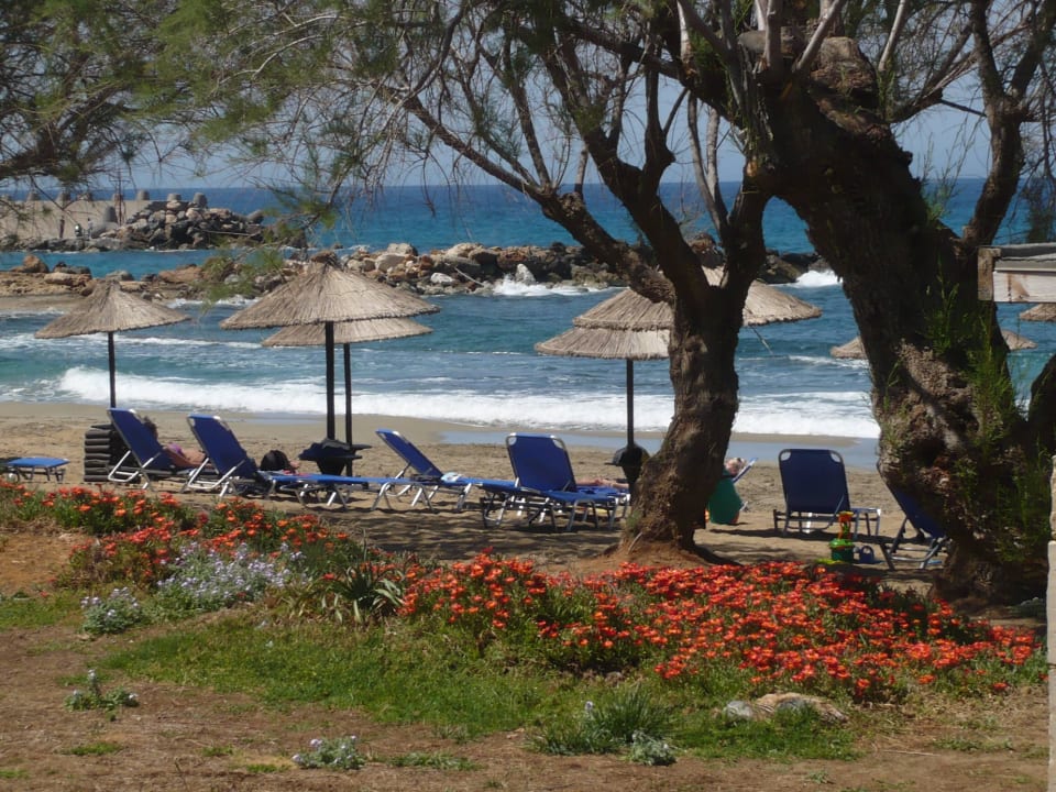 2. Weg zum Strand Phãea Cretan Malia