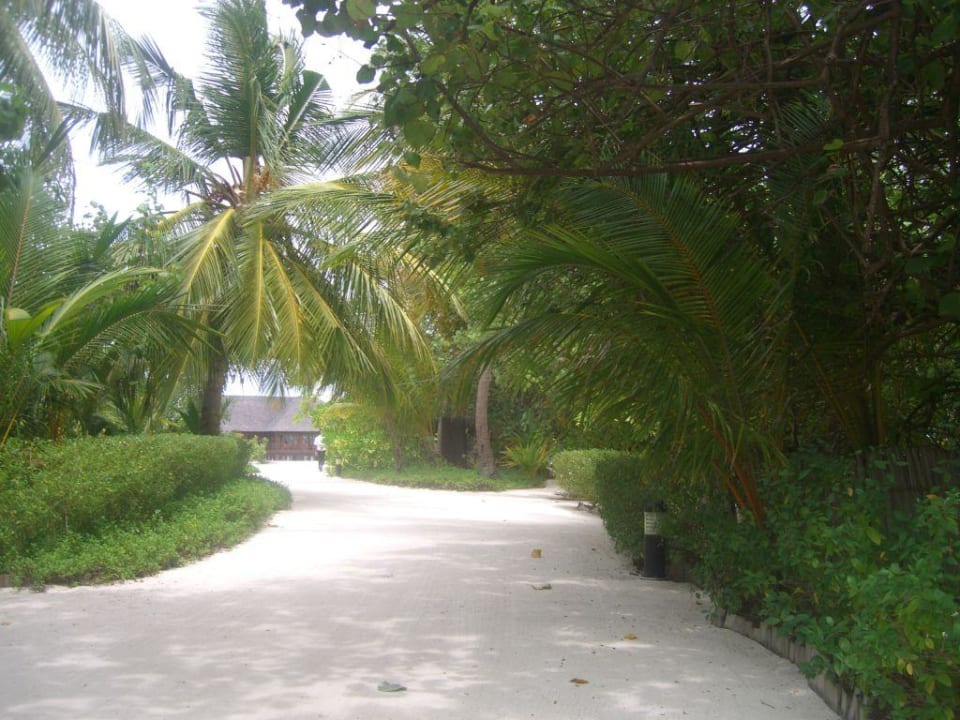 Hauptweg auf der Insel Sun Siyam Olhuveli