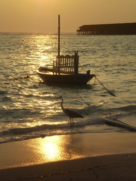 Morgens bei den Honeymoon-Suiten Meeru Maldives Resort Island