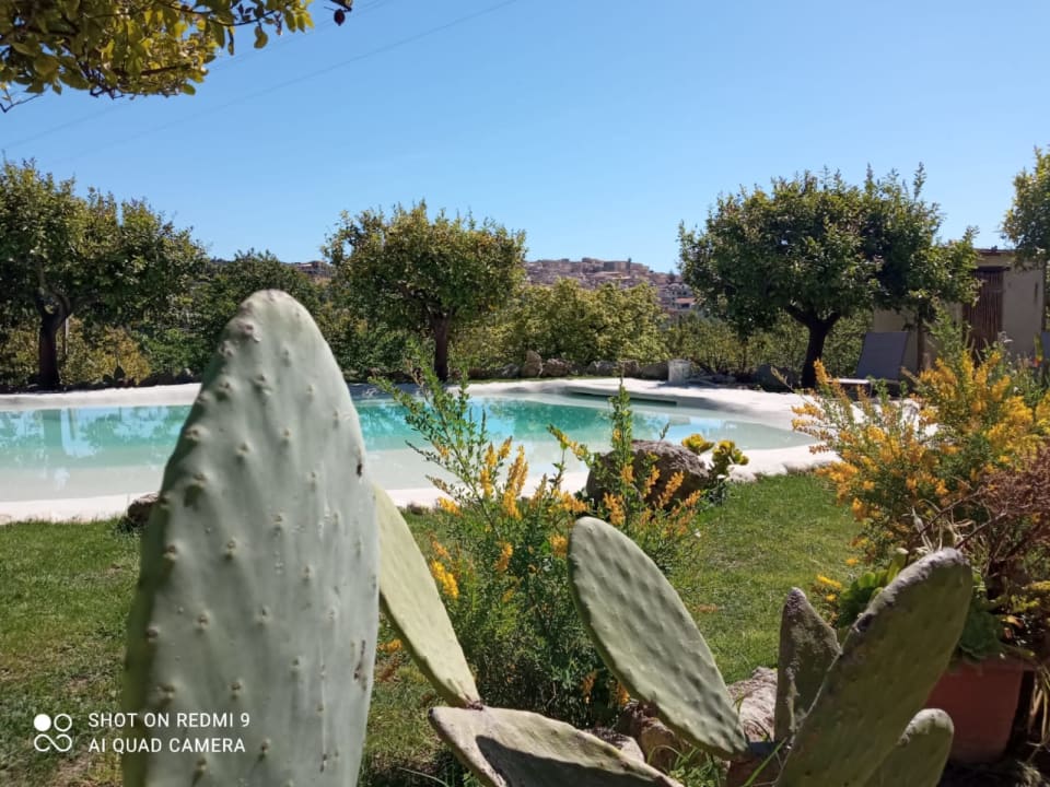 Pool Casa vacanze il primo fiore