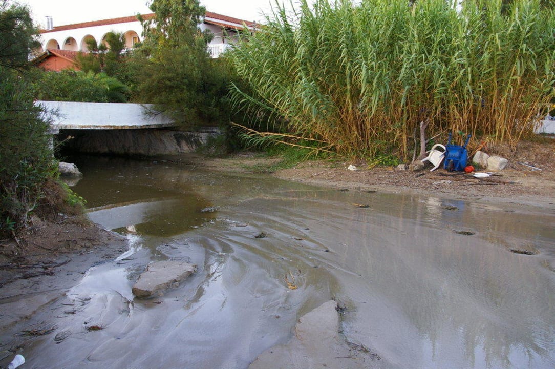 Der Brackwasser-Tümpel Hotel Angela Beach