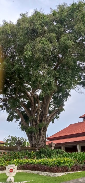 Gartenanlage Nusa Dua Beach Hotel & Spa