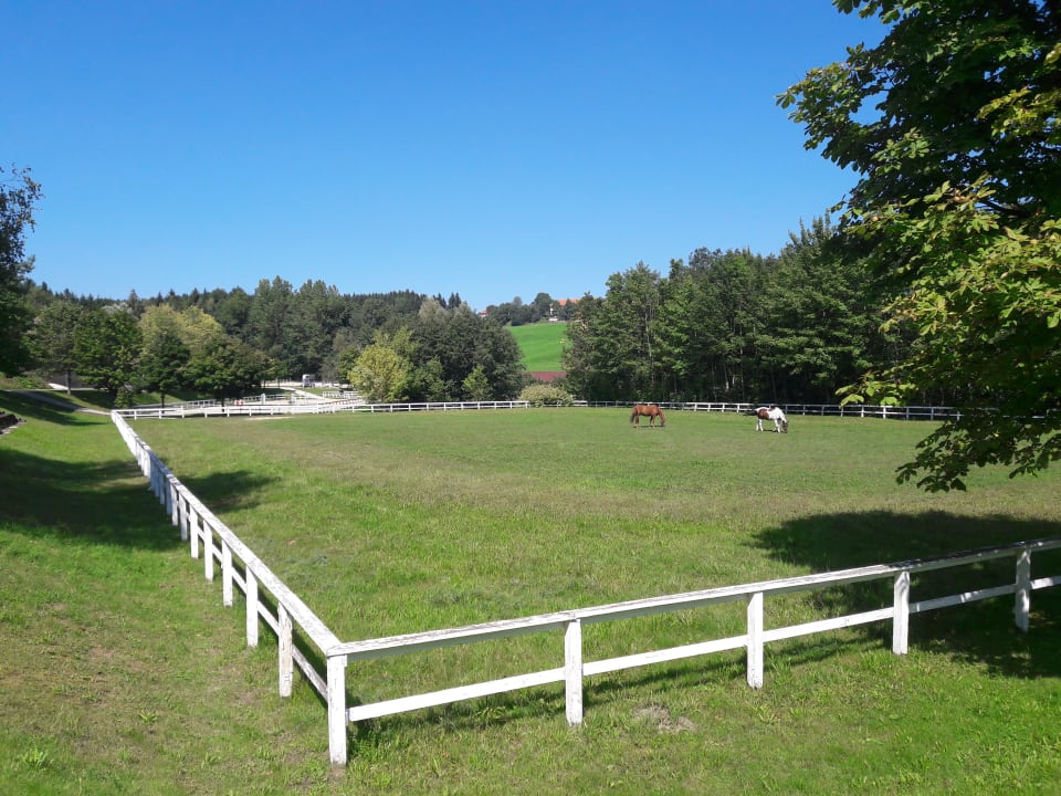 Sport & Freizeit Aldiana Club Ampflwang