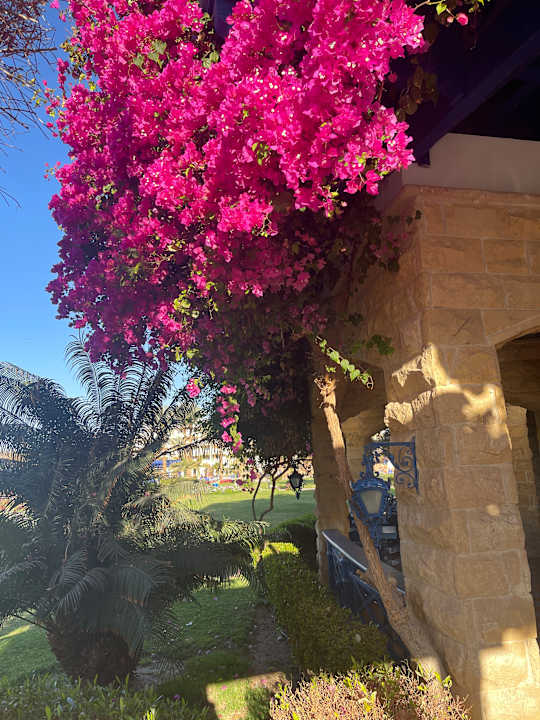 Außenansicht Palm Royale Resort - Soma Bay