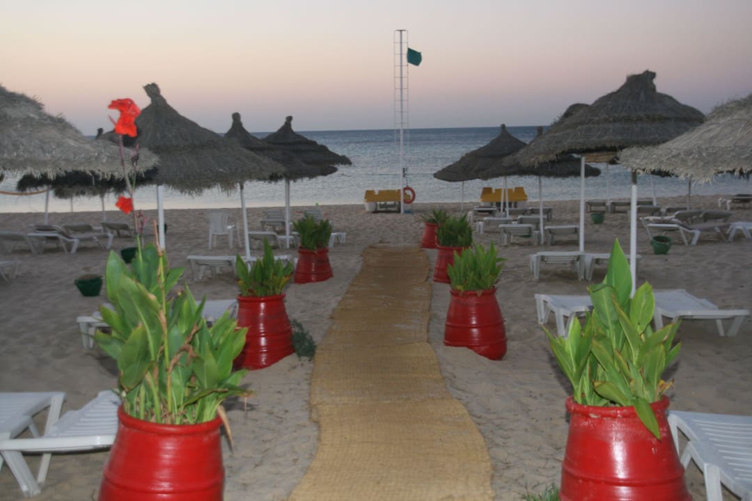 Coco beach Hotel Royal Nozha