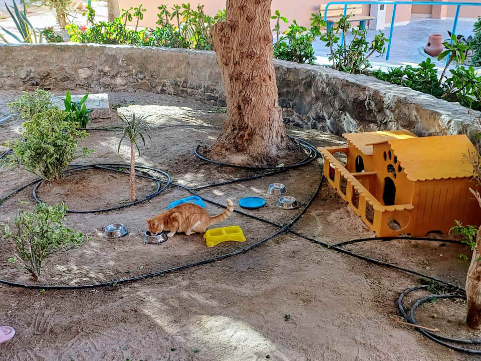 Gartenanlage Club Paradisio El Gouna, Red Sea