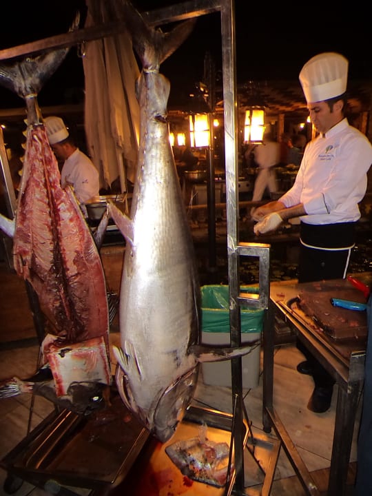 Thunfisch Club Resort Atlantis