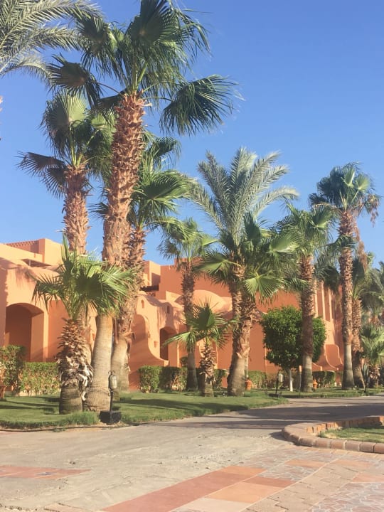 Gartenanlage Jaz Makadi Oasis Resort