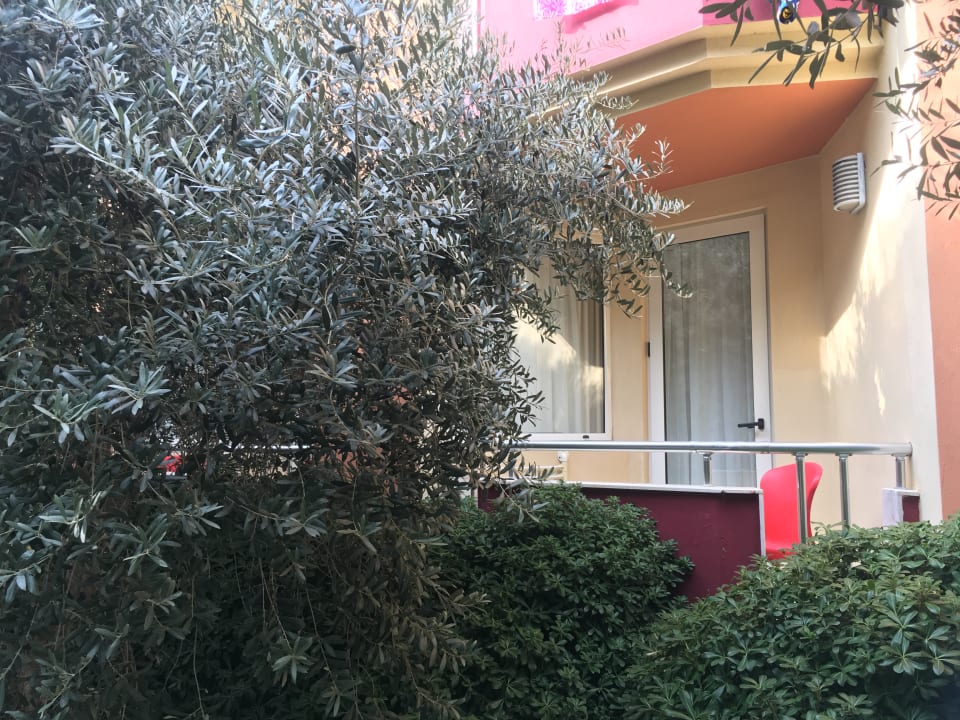 Zimmer Hotel Orfeus Park