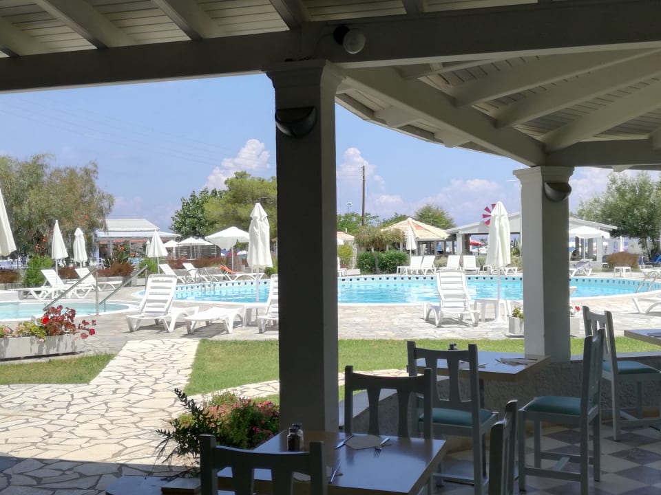 Pool Hotel Albatros
