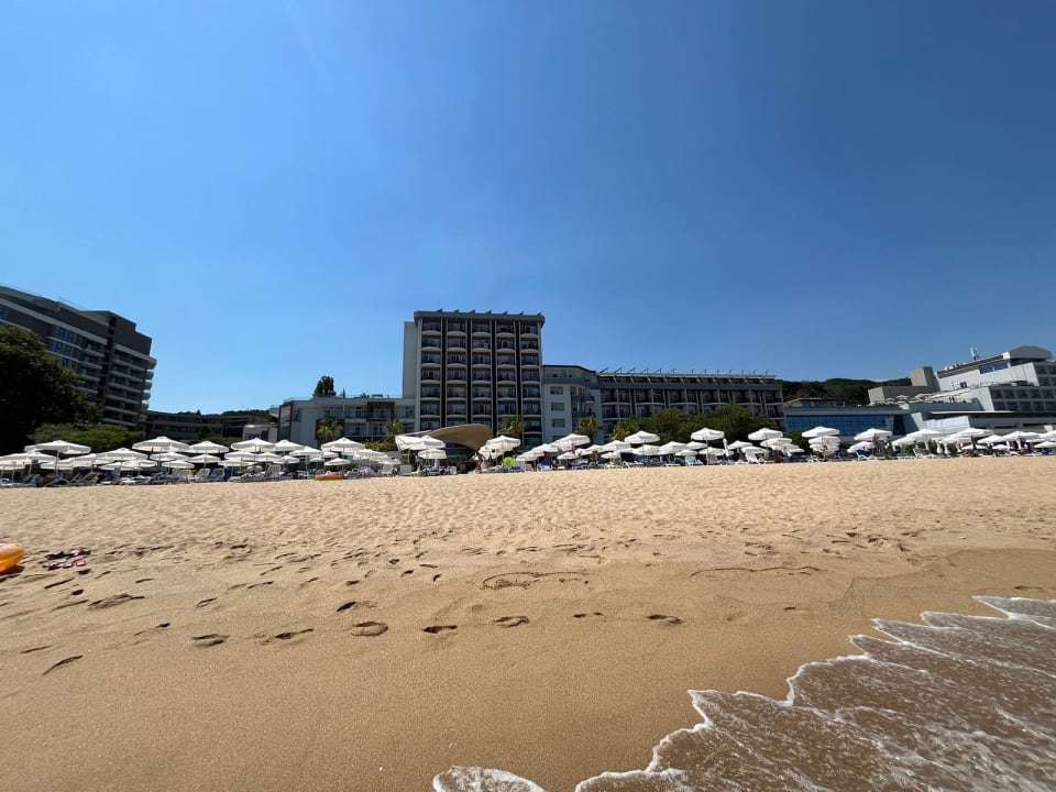 Strand Sentido Marea