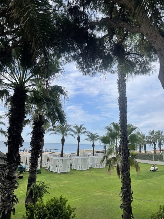 Ausblick Papillon Ayscha