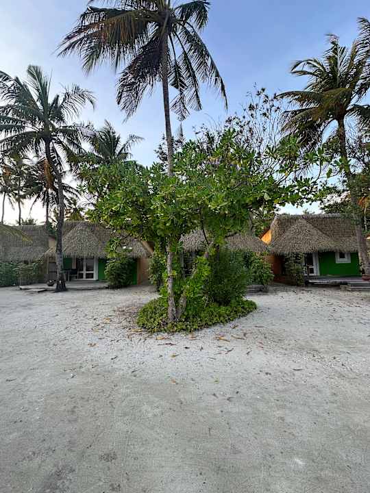Zimmer Kuredu Island Resort & Spa