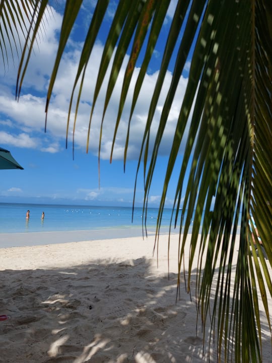 Strand Hotel White Sands Negril