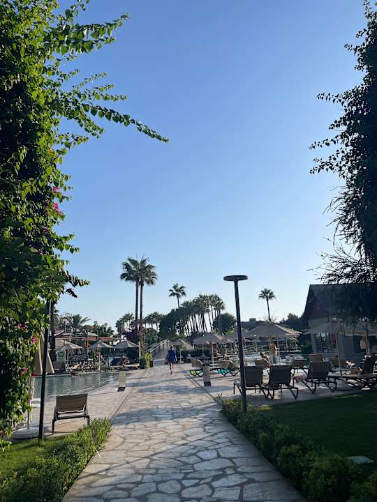 Pool Arum Barut Collection