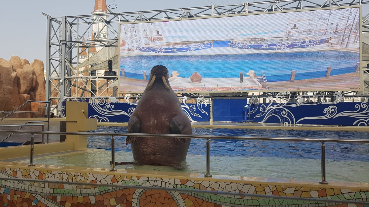 Sport & Freizeit The Land of Legends Kingdom Hotel