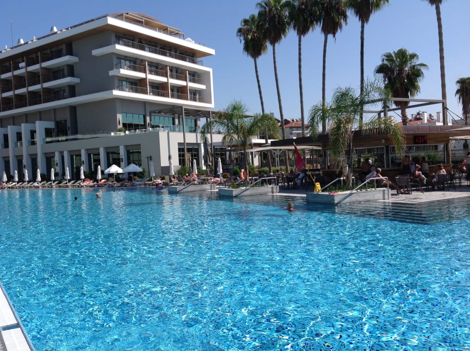 Pool Acanthus Cennet Barut Collection