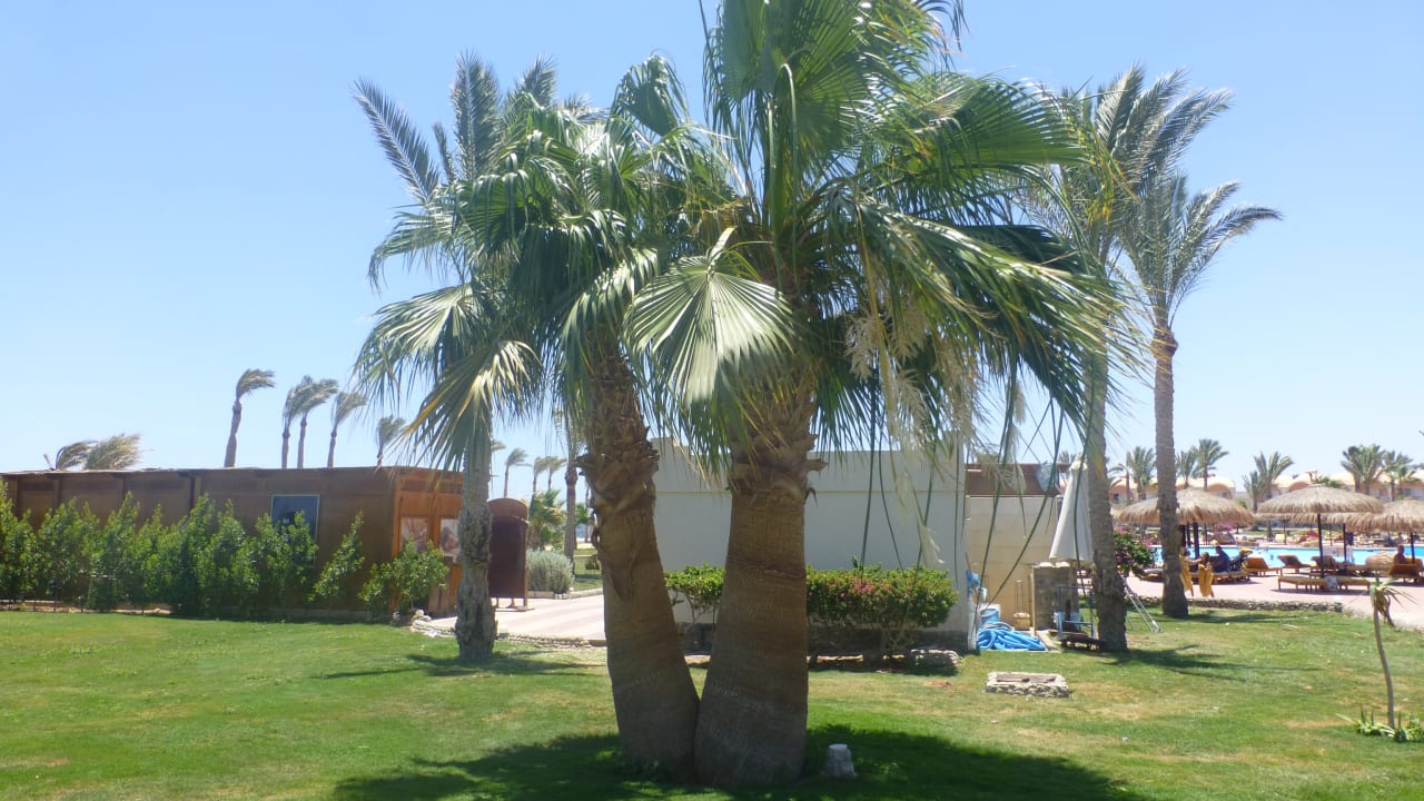 Gartenanlage Three Corners Sea Beach Resort