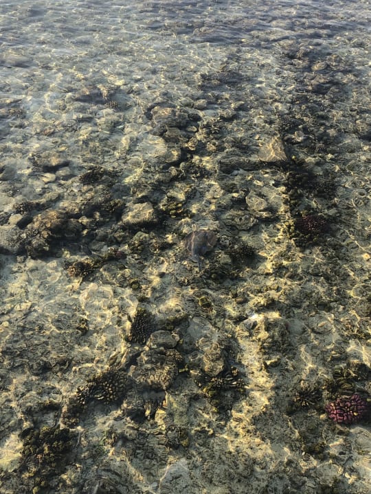 Strand Casa Mare Resort