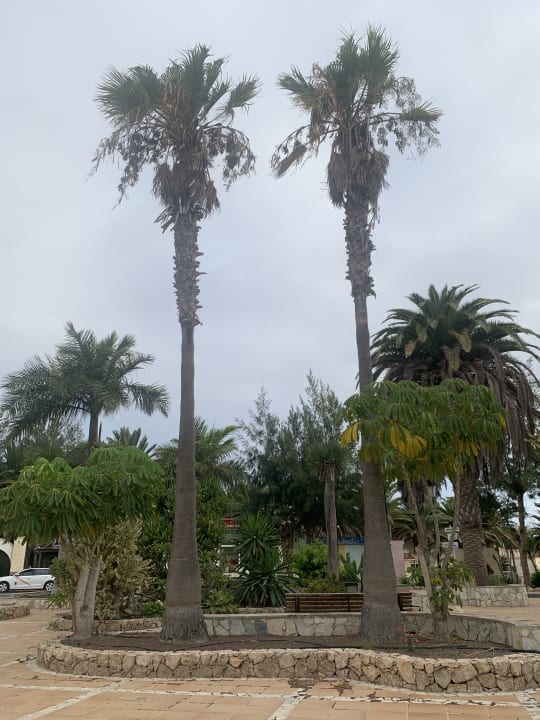 Gartenanlage SBH Crystal Beach Hotel & Suites