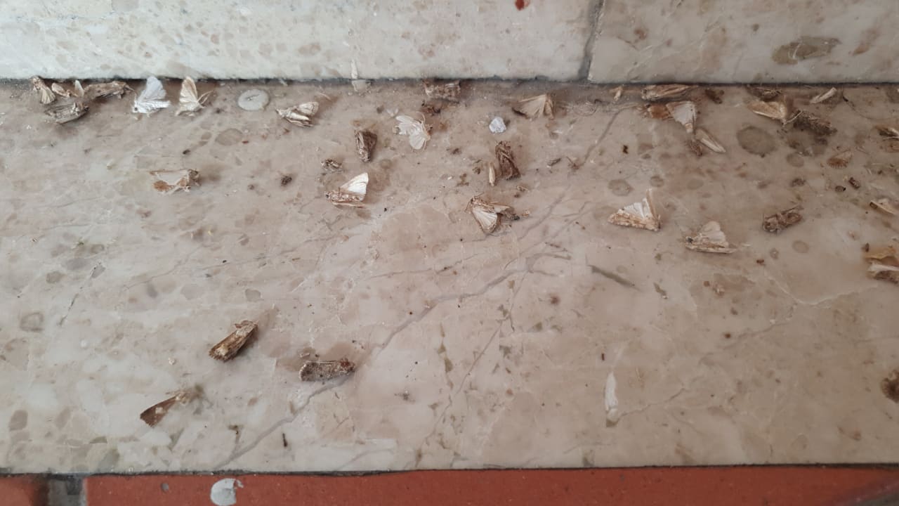 Sonstiges Limak Limra Hotel & Resort