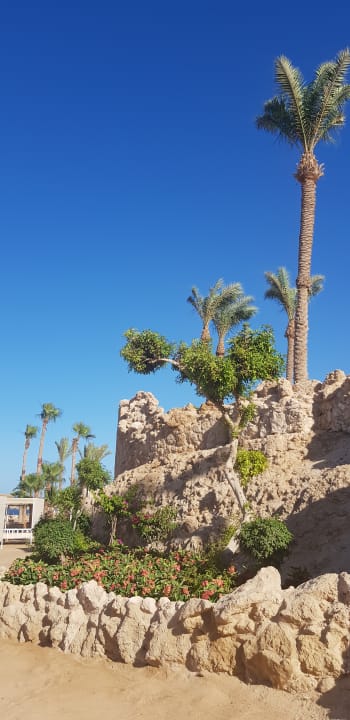 Gartenanlage Pickalbatros Citadel Resort