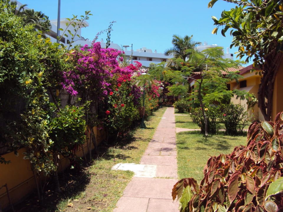 Weg zum Bungalow Artemisa Gay Bungalows