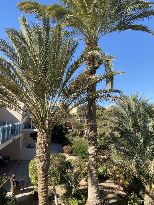 Ausblick Mövenpick Resort & Spa El Gouna