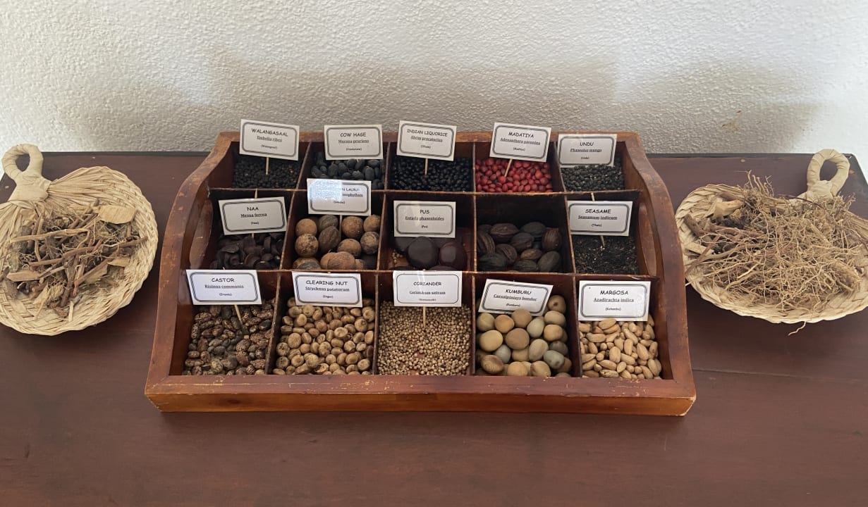 Sport & Freizeit Surya Lanka Ayurveda Beach Resort