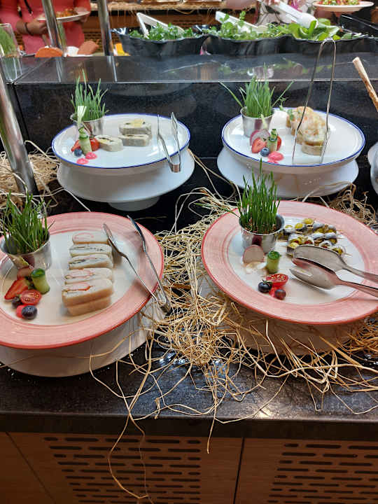 Gastro Seashell Vega