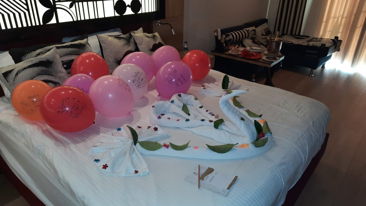 Zimmer Hotel Delphin Imperial