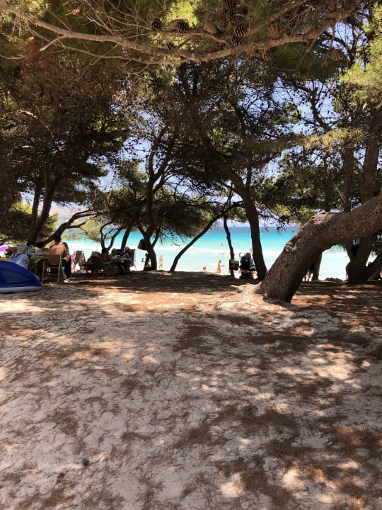 Strand Grupotel Los Principes & Spa
