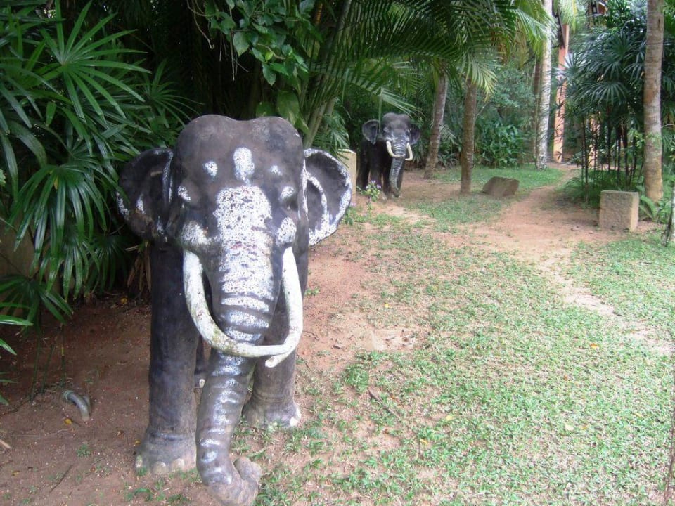 Elefantenstatue Aida Ayurveda Resort & Spa