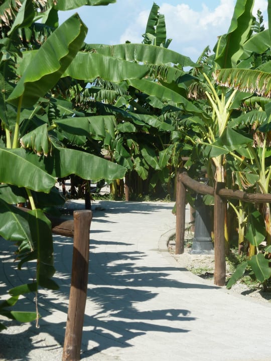 Weg zur Strandbar Falkensteiner Club Funimation Garden Calabria