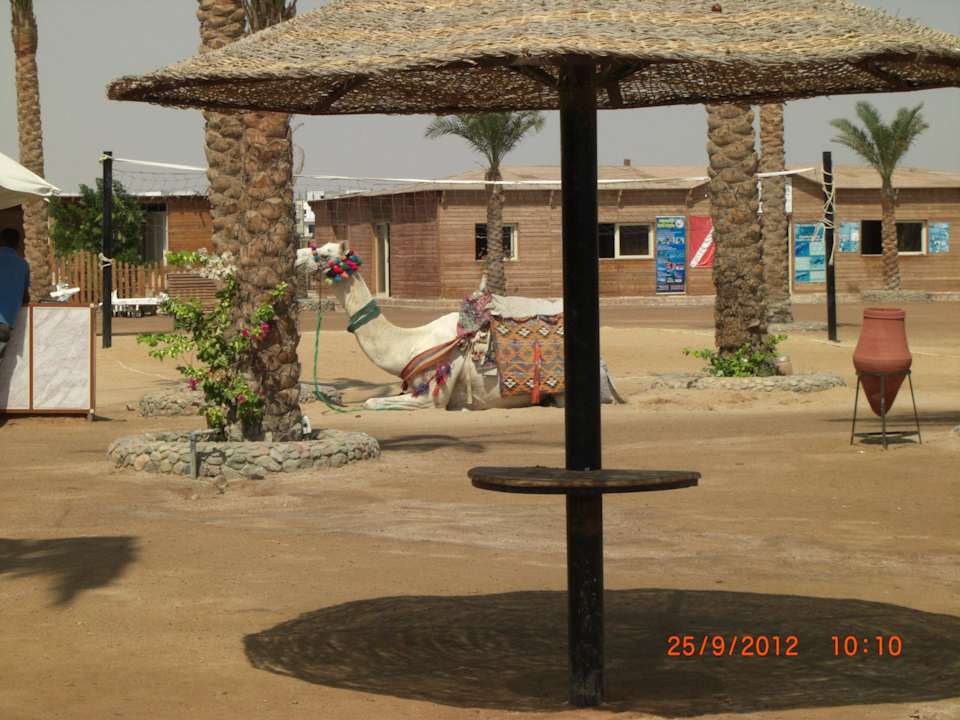 Sehr harter Boden Le Jardin Aqua Park Resort