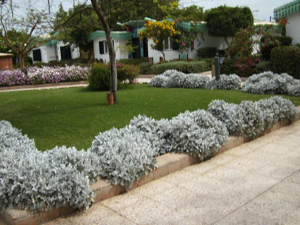 Garten Ghazala Beach