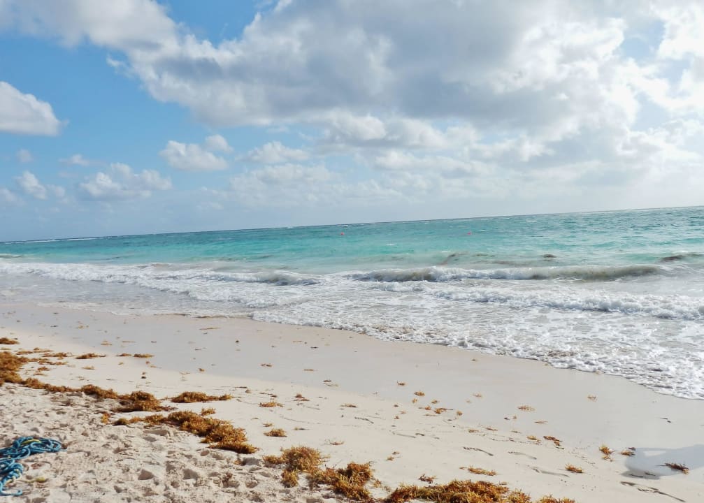 Strand am Hotel Punta Cana Princess All Suites Resort & Spa