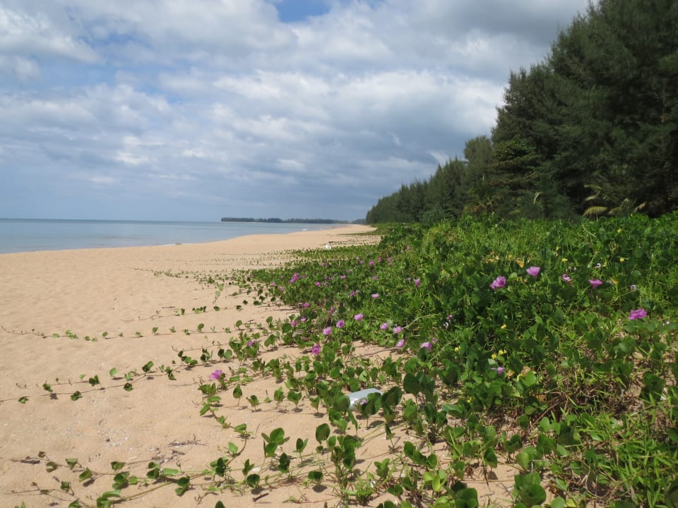 Strand Seaview Khao Lak Resort