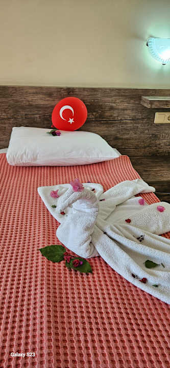 Zimmer Sayanora Hotel