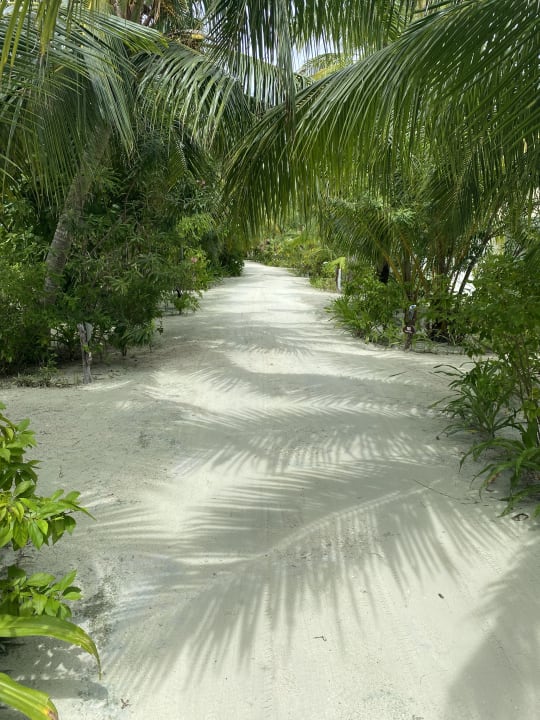 Gartenanlage South Palm Resort Maldives
