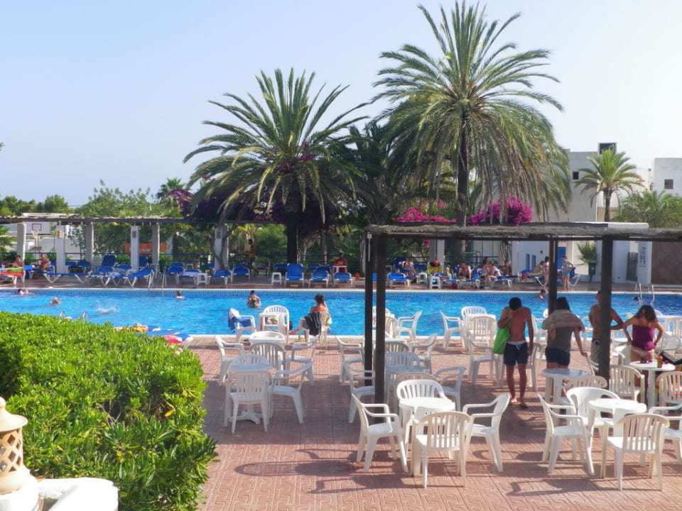 Pool Cala Llenya Resort Ibiza