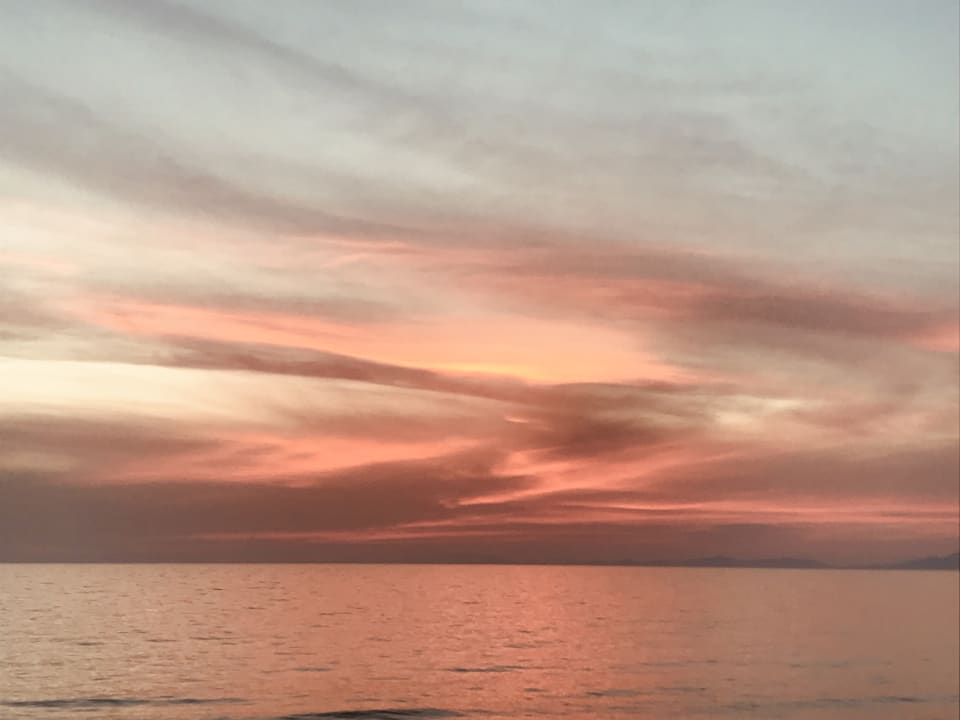 Außenansicht Arora Hotel