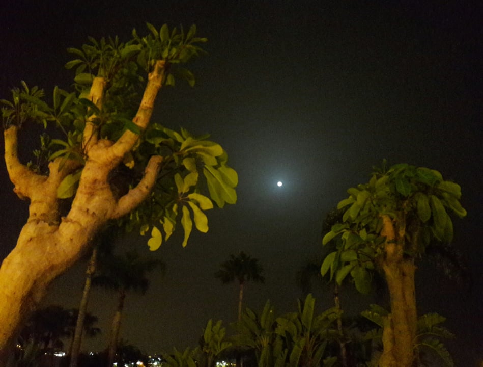 Ausblick Club Monte Anfi