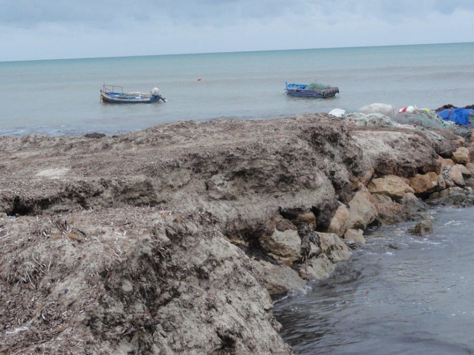 Algen Royal Karthago Djerba