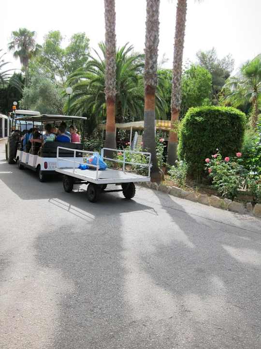 Hotelbahn mit Anhänger Flipflop Cala Romantica