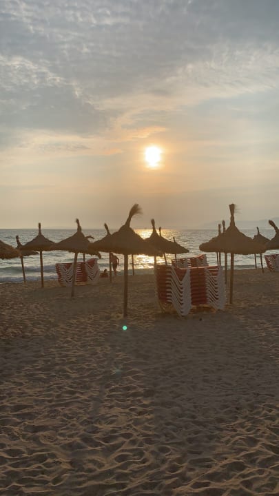 Strand AYA Seahotel - Adults only