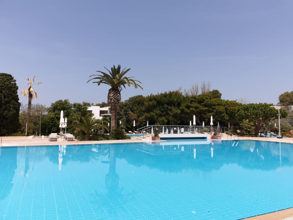 Pool Caravia Beach Hotel Marmari Holidaycheck Kos Griechenland