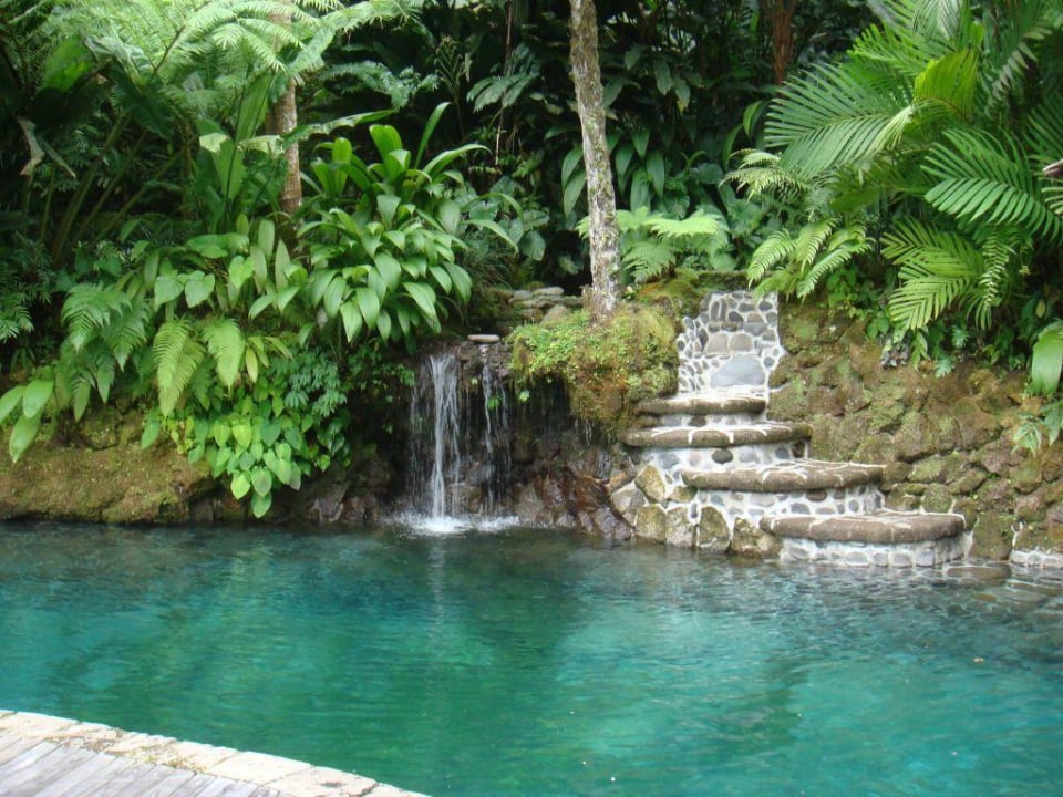 Quellenpool im Dschungel COMO Shambhala Estate