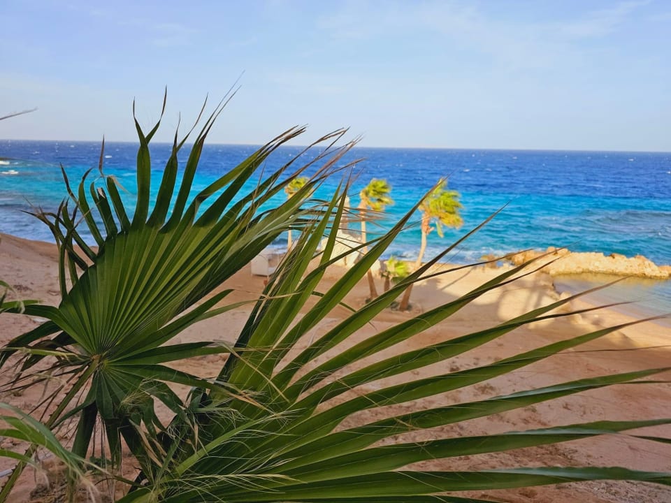 Strand Pickalbatros Citadel Resort