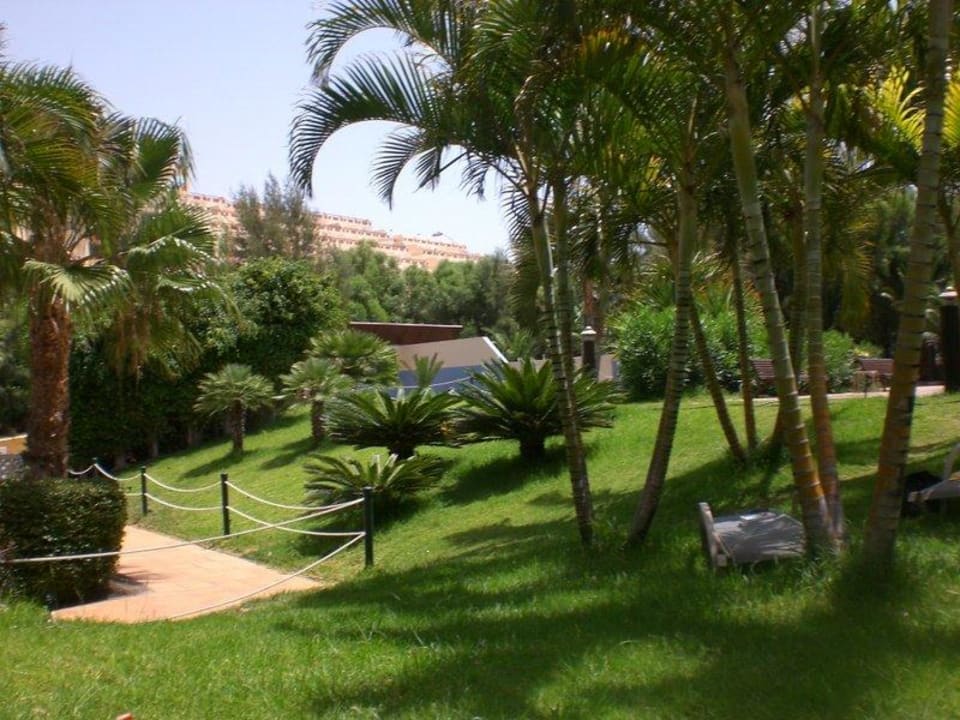 Liegen unter Palmen IFA Altamarena by Lopesan Hotels